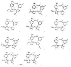 Figure imgf000034_0001