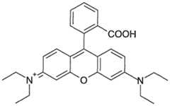 Figure imgf000015_0001
