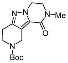 Figure BDA0001979965430001161