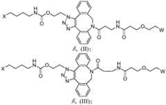 Figure BDA0003590456550001261