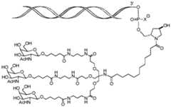 Figure imgf000156_0002