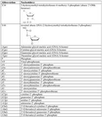 Figure imgf000127_0001