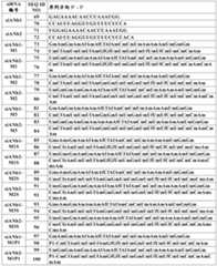 Figure PCTCN2019128686-APPB-000047