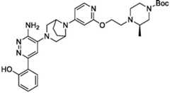 Figure BDA0004113777320001361