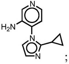Figure BDA0001412716210001681