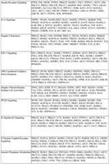 Figure imgf000480_0001