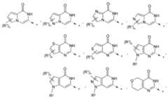 Figure 112016118844681-pct00013