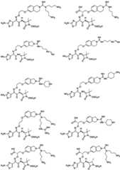 Figure FDA0003806534530000141