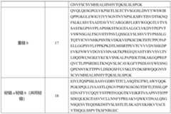 Figure PCTCN2022110627-appb-000003