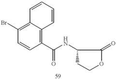 Figure US06204293-20010320-C00883