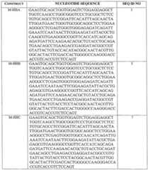 Figure imgf000050_0001