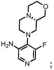 Figure BDA0001412716210001955