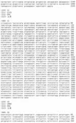 Figure IDA00002091897100541