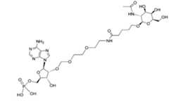 Figure 112117718-A0304-13-0017-133