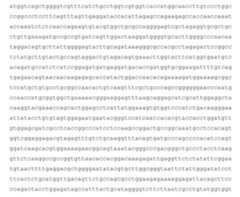 Figure 2022153375000046