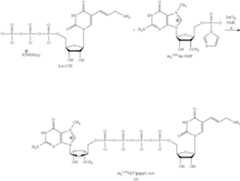 Figure US08093367-20120110-C00011