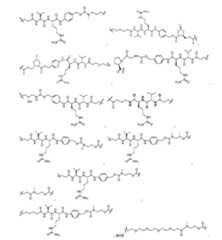 Figure imgf000293_0003