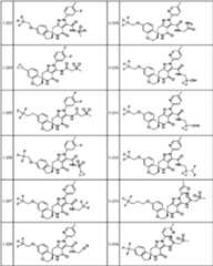 Figure JPOXMLDOC01-appb-T000127