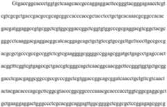 Figure PCTCN2021139177-appb-000006