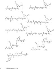 Figure imgf000017_0001