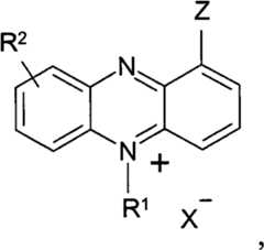 Figure FPA00001263293800061