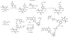 Figure imgf000229_0001