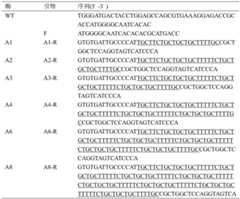 Figure GDA0004037130360000061