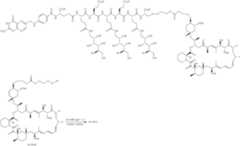 Figure US09877965-20180130-C00058