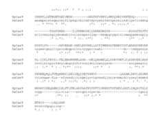 Figure imgf000033_0001