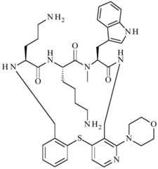 Figure BDA0001640213710005261