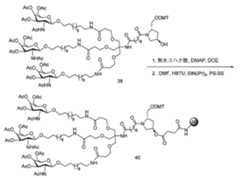 Figure 0007429103000232