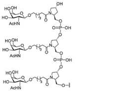 Figure 0007429103000024