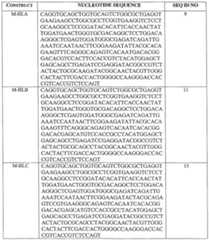 Figure imgf000051_0001