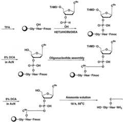Figure imgf000051_0002