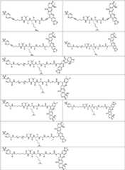 Figure PCTCN2022073822-appb-100175