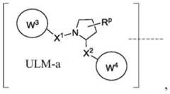 Figure BDA0003027048450001112