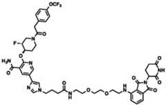 Figure BDA0002964098100002212