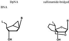 Figure imgf000019_0002