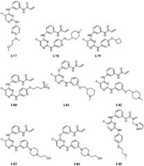 Figure BDA0001453135130000581