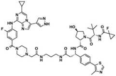 Figure BDA0002964098100001961