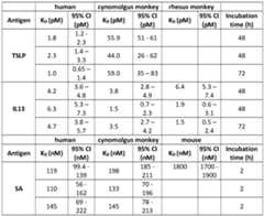 Figure imgf000117_0001