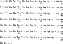 Figure C200380109682D00972