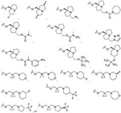 Figure imgf000365_0002