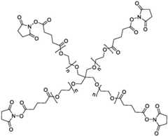 Figure BDA0004019260800000241