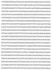 Figure 104109152-A0202-12-0105-48