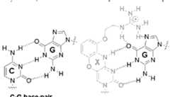 Figure imgf000030_0001