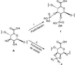 Figure imgf000016_0002