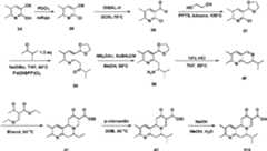 Figure imgf000081_0002