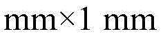 Figure BDA0003107157280000062