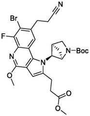 Figure BDA0003993773060002781